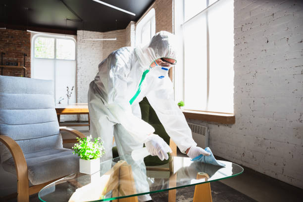 Why You Should Choose Our Mold Remediation Services in Ocean Bluff Brant Rock, MA